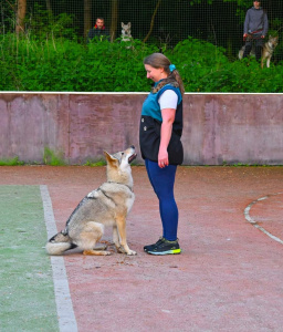 Dona Kysucká hviezda